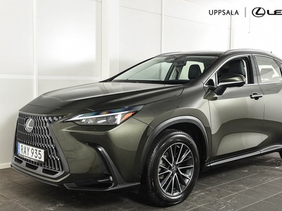 Lexus NX350h AWD Business 2023, SUV