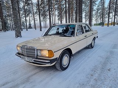 Mercedes-Benz 123 Sedan Proline