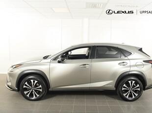 Lexus NX 300h AWD Kyushu Edition Drag