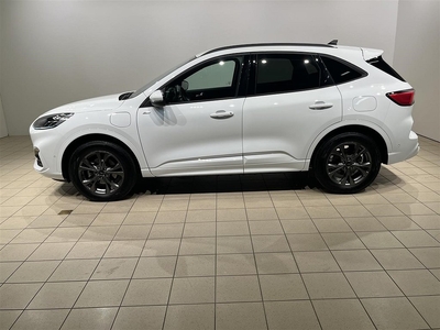 Ford Kuga ST-Line X Plug-In Business Edt. Drag B&O Navi Aut