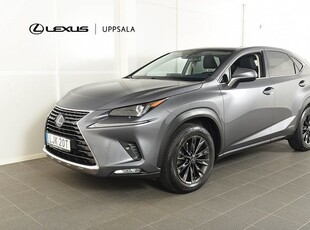 Lexus NX300h AWD Executive Navi Panorama Drag M-värmare 2020, SUV