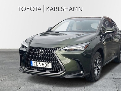 Lexus NX450h AWD Business Plus Drag 2024, SUV