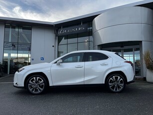 Lexus UX 300h AWD Luxury Dragkrok E-Four CVT Euro 6