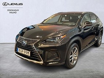 Lexus NX 300h AWD Executive Navigation Drag *Select Garanti