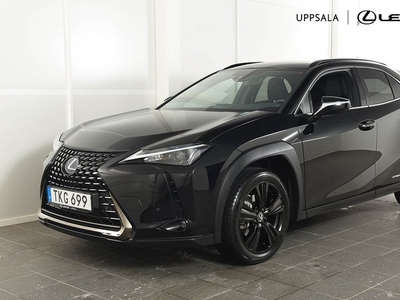 Lexus UX250h Sport Edition 2022, SUV