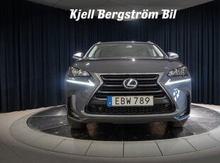 Lexus NX 300h AWD 2.5 AWD E-CVT Business Line Drag