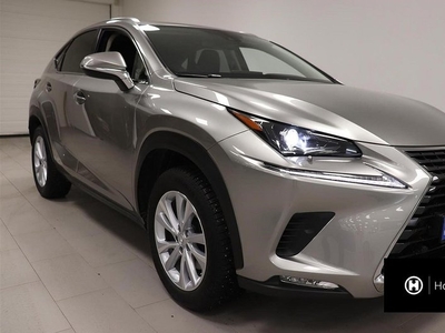 Lexus NX300h AWD Executive Drag Navi Backkamera 2020, SUV