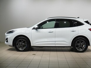 Ford Kuga ST-Line X Plug-In Hybrid Business Edt. Drag B&O