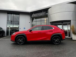 Lexus UX 250h Comfort Sport Edition Navigation CVT Euro 6