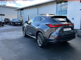 Lexus NX 350h AWD