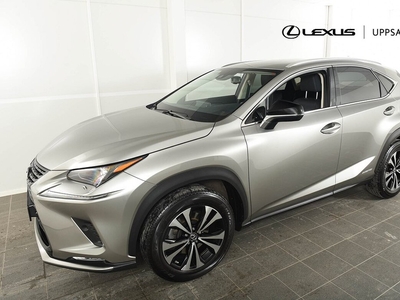 Lexus NX 300h AWD