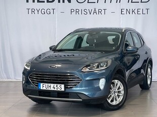 Ford KugaTitanium Hybrid AWD , , Drag 2022, SUV