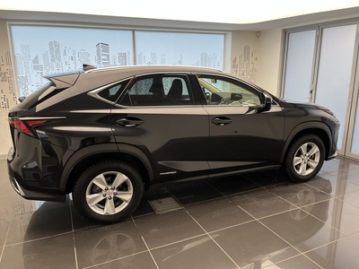 Lexus NX 300h AWD