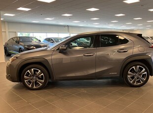 Lexus UX 250h E-Four AWD Premium Mark Levinson Stereo Keyless Backkamera