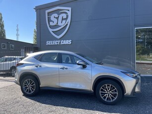 Lexus NX 350h AWD E-CVT Business Comfort 242hk