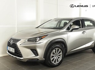 Lexus NX300h AWD Comfort LSS Drag 2020, SUV