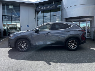 Lexus NX 450h+ AWD Executive Teknik-pkt Taklucka E-CVT Euro 6