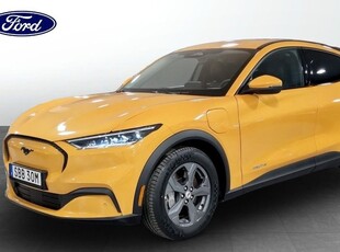 Ford MustangMach-E RWD Standard Range Privatleasing 2021, Sportkupé