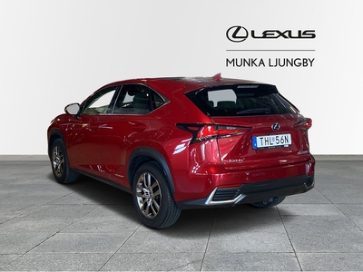 Lexus NX 300h AWD Executive Navi Panorama Drag