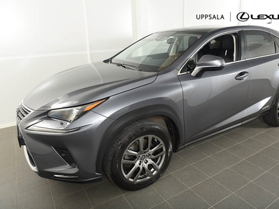 Lexus NX 300h AWD