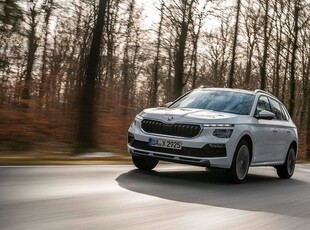 Skoda KamiqLAGERRENSNING SELECTION AUTOMAT 2024, SUV