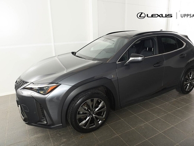 Lexus UX 250h