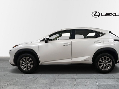 Lexus NX 300h AWD BUSINESS V-HJUL