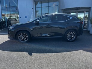 Lexus NX 450h+ AWD E-CVT Executive Teknik-pkt Euro 6