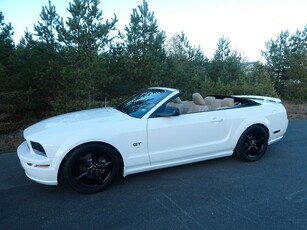 Ford Mustang GT Cab