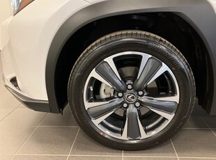 Lexus UX 250h