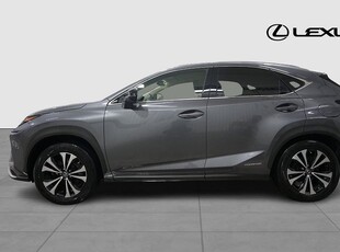 Lexus NX 300h AWD KYUSHU EDITION DRAG