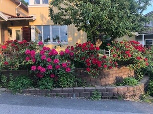 Duplex - Nyckelvägen Sollentuna