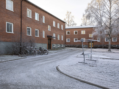 2 rums lägenhet i Lycksele