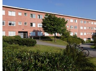 Hyr ett 3-rums lägenhet på 76 m² i Göteborg