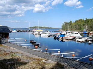 Trea i härligt område