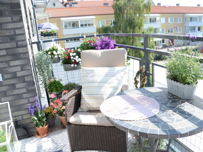 Apartment - Suellsgatan Landskrona