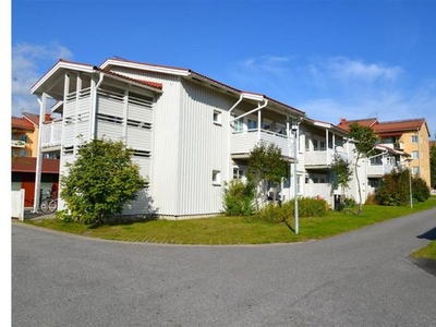 Hyr ett 1-rums lägenhet på 39 m² i Umeå