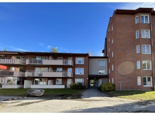 Hyr ett 3-rums lägenhet på 79 m² i Skellefteå