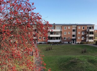 Apartment - Borgavägen Kalmar