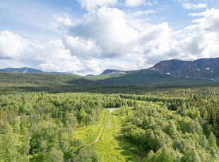 Skidspåret Kittelfjäll Kittelfjäll null