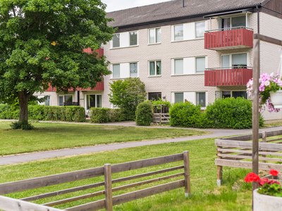 Apartment - Stiglötsgatan Linköping