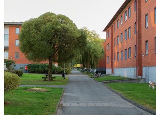 Hyr ett 3-rums lägenhet på 81 m² i Göteborg