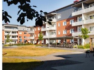 Hyr ett 3-rums lägenhet på 84 m² i Umeå