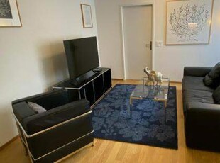 A spacious One-bedroom apartment for rent