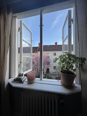 Apartment - Kungsladugårdsgatan Göteborg