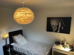 Apartment - Wallmarksgatan Halmstad