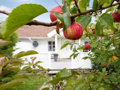 Friliggande villa - Romelanda Västra Götaland