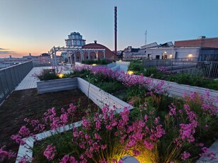 Apartment - Augustendalsvägen Nacka