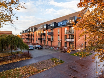 Apartment - Malcusgatan Halmstad