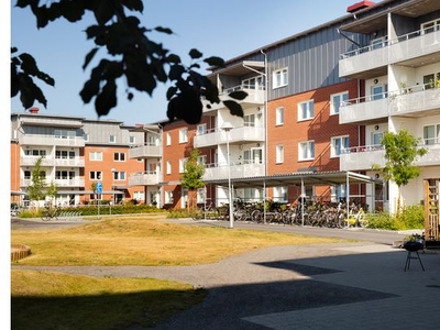 Hyr ett 2-rums lägenhet på 56 m² i Umeå